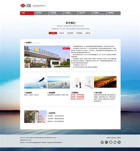 石家庄 网站建设公司